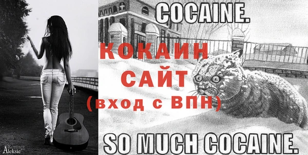крисы Богданович