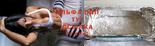 PSILOCYBIN Богородицк