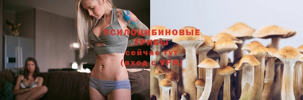 PSILOCYBIN Богородицк