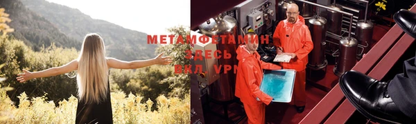 PSILOCYBIN Богородицк
